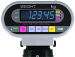 IGX